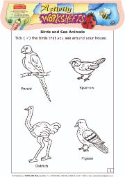 Scholars Hub Worksheets Birds and Sea Animals